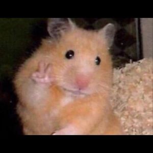 Thanks! Thanks for helping me clean my closet!